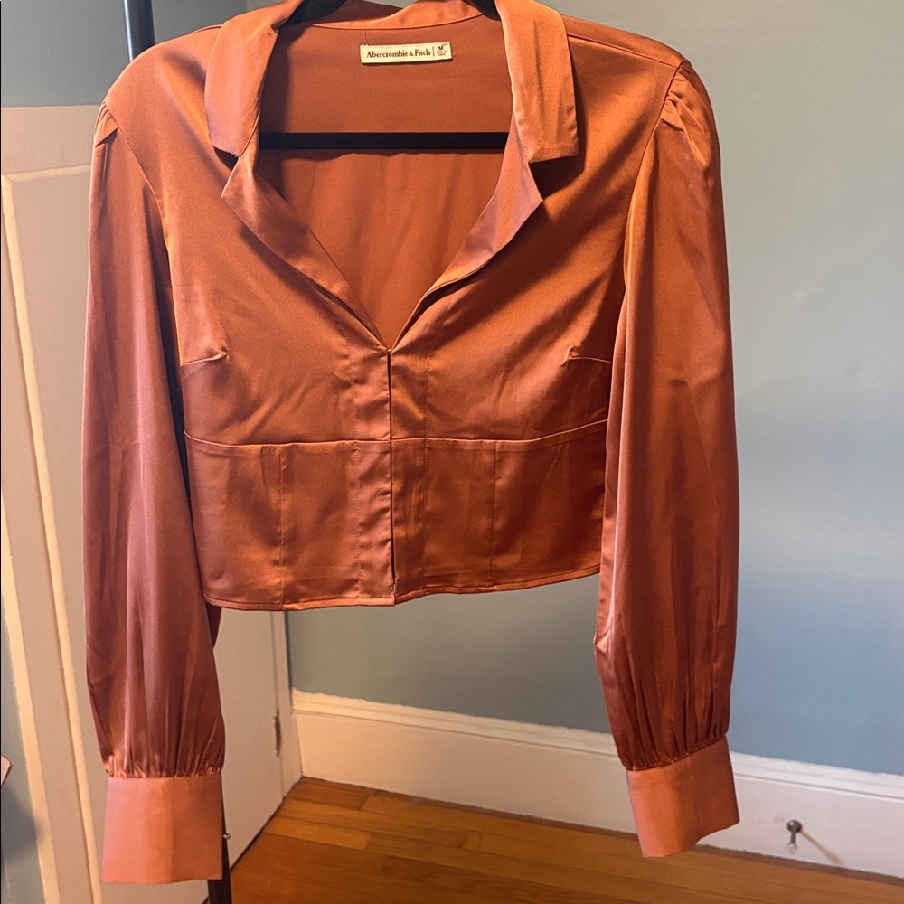 Abercrombie & Fitch Satin Brown Top